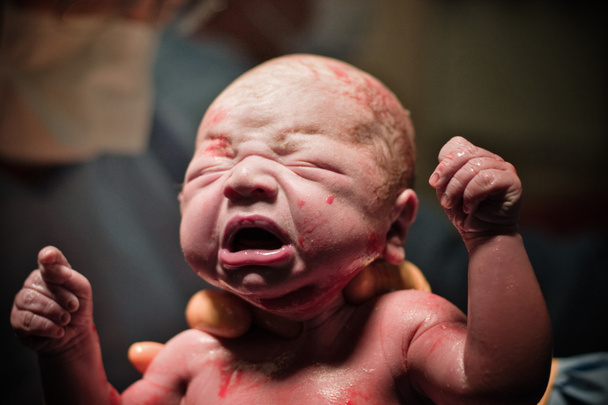 yeni bir bebek dünyaya gelmeye - Fotoğraf, Görsel