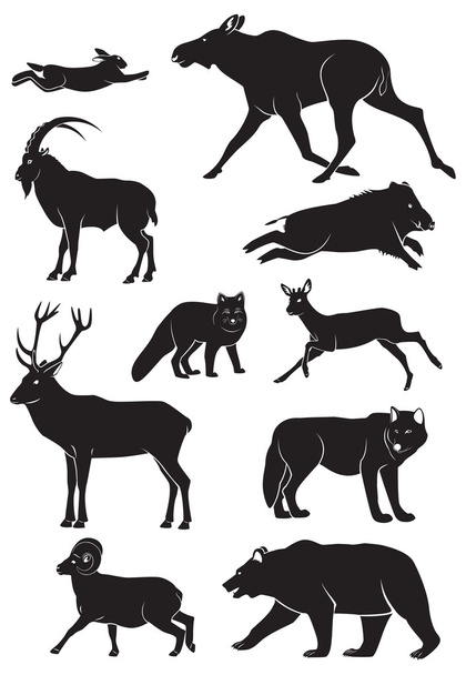 La figura muestra los animales salvajes
 - Vector, Imagen