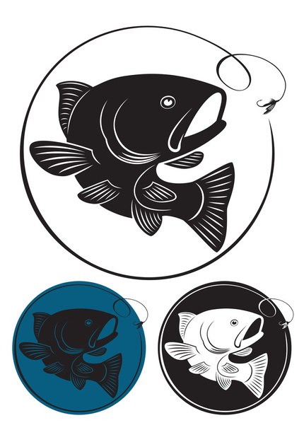 trout fish - Vector, Image