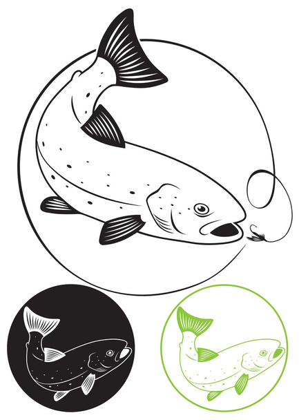 риби форелі
 - Вектор, зображення