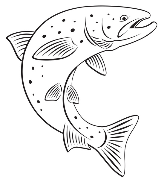 鮭 - ベクター画像