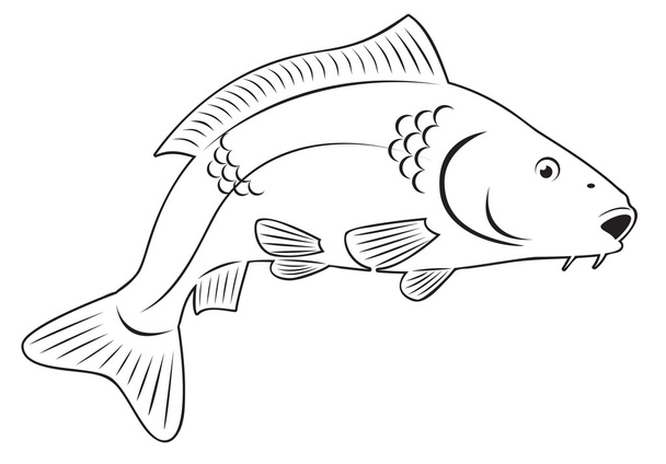 κυπρίνος ψάρια - Διάνυσμα, εικόνα