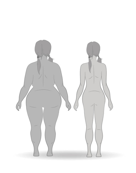 Ilustración vectorial mujer de dibujos animados adelgazamiento. Gorda y delgada. Cuerpo femenino antes y después de la pérdida de peso, dieta y estado físico. Comparación chica atlética y mujer regordeta. Creciendo dama delgada. Estilo plano
.  - Vector, imagen