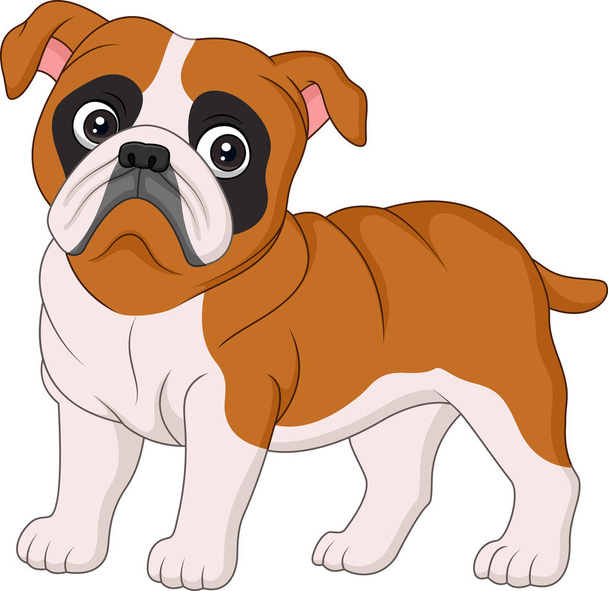 bulldog de dibujos animados aislado sobre fondo blanco
 - Vector, imagen