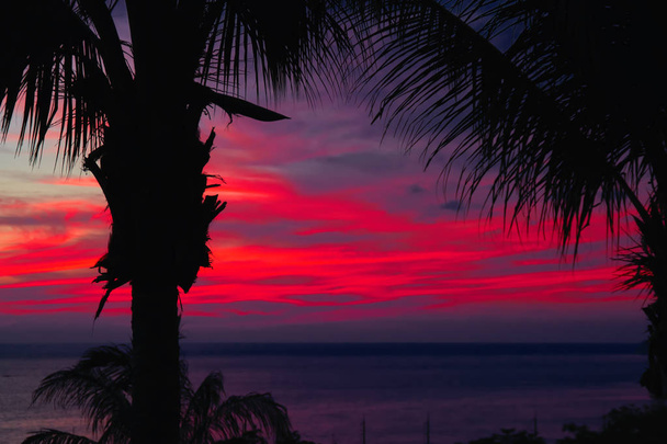 dramatischer Sonnenuntergang über dunklem Wasser und Palmensilhouetten. Meer mit Wolken in saftigen roten Strahlen Sonnenuntergang. magische Landschaft Tapete. - Foto, Bild