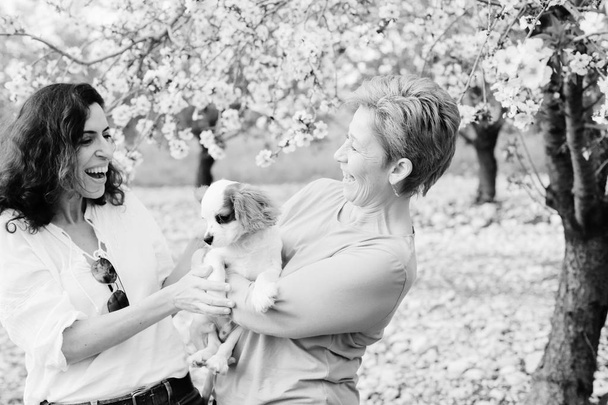 Portrait of beautiful women walking in blossoming spring apples garden with cute puppy on hands - Photo, Image