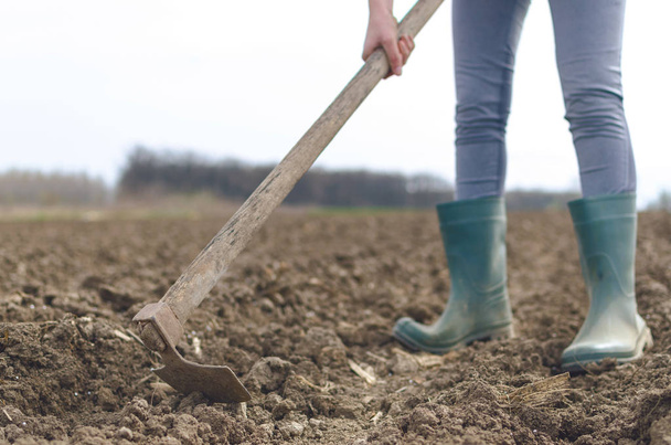 Woman farmer working in the fields hoeing and tilling the fertile soil during a spring sunny day - Foto, imagen