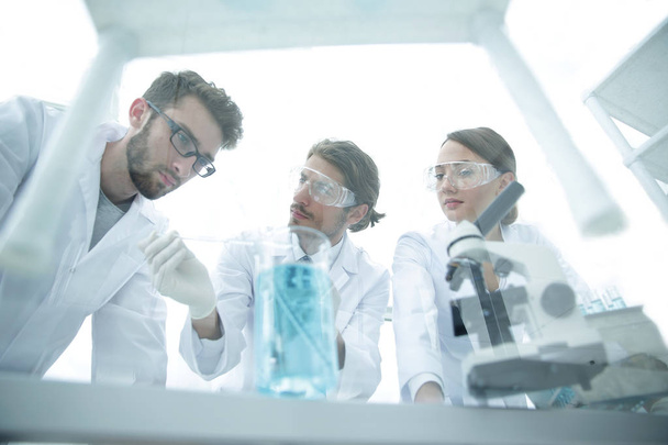 Group of scientists working on an experiment at the laboratory - Photo, Image