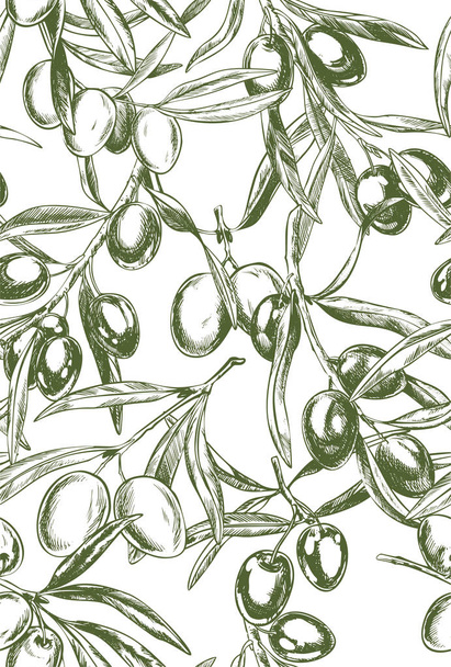 Olive branches, hand drawn retro style vector illustrations. - Vektor, obrázek