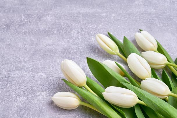 Ramo de tulipanes blancos sobre fondo de hormigón gris. Copiar espacio
, - Foto, Imagen