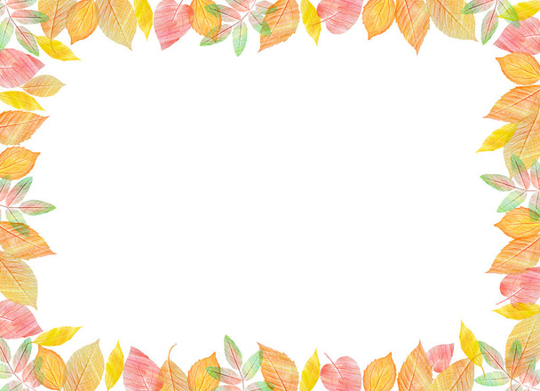 Fall template. Bright colourful autumn leaves on horizontal white background. - Fotografie, Obrázek