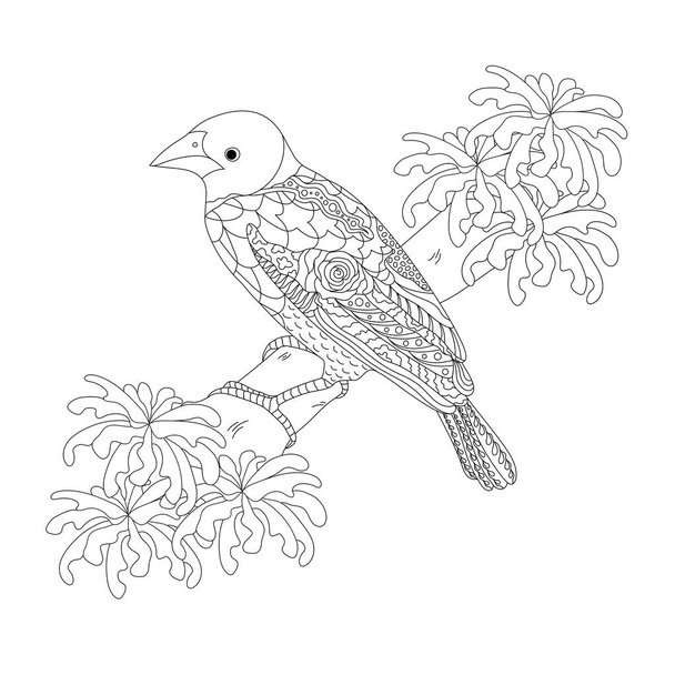 Fantasy bird on a branch. Ploceus cucullatus from Africa. Black and white vector illustration. Coloring book for adults and children.  - Vector, imagen