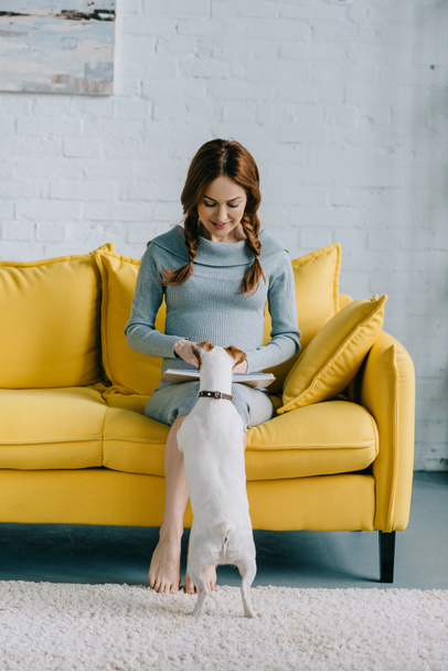 attractive pregnant woman reading book and palming jack russell terrier in living room - Foto, Bild