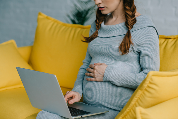 hamile dizüstü bilgisayar kullanarak - Fotoğraf, Görsel