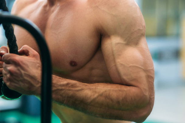 Un joven atleta entrena en el gimnasio. Bodybuilder entrena los músculos del tríceps
 - Foto, Imagen