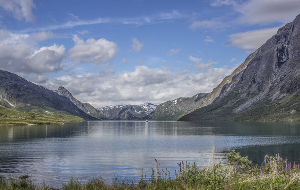 Γραφικό το καλοκαίρι σκηνή της Δυτικής Νορβηγίας. Πολύχρωμη θέα στο φιόρδ. Ταξιδεύουν έννοια φόντο. - Φωτογραφία, εικόνα
