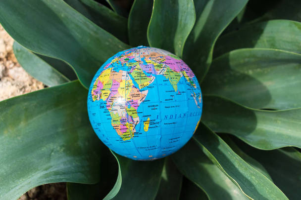 Small globe in the grass. Travel and global issues concept. - 写真・画像