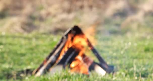 Bonfire burning at green grassy lawn. Video. UltraHD (4K) - Footage, Video