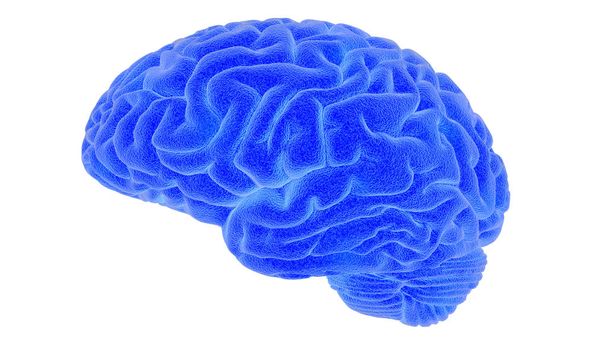 Rendering 3D del cervello umano
 - Foto, immagini