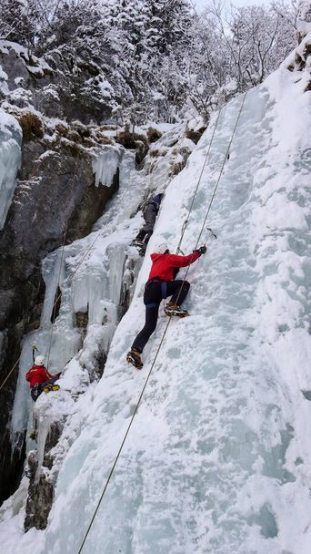 ice climbers on a n ice fall in the Swiss Alps during an ice climbing course - Photo, Image
