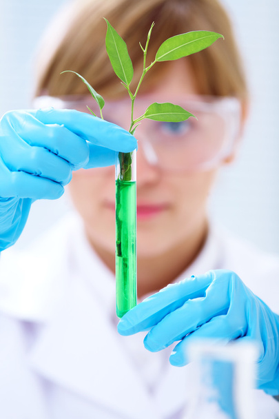 biotechnology - Foto, Imagen