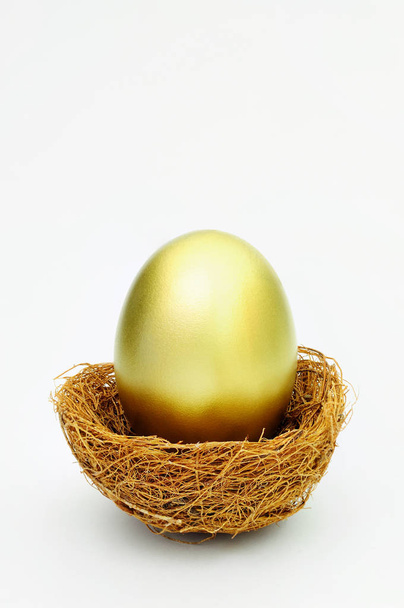 Jeden złoty jaj w gnieździe na białym tle - Zdjęcie, obraz