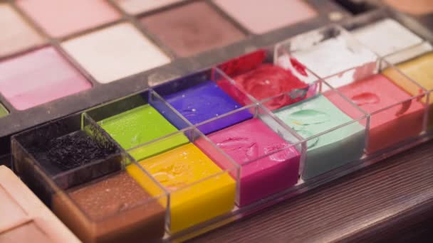 Palet met kleurrijke verf voor kunst make-up - Video