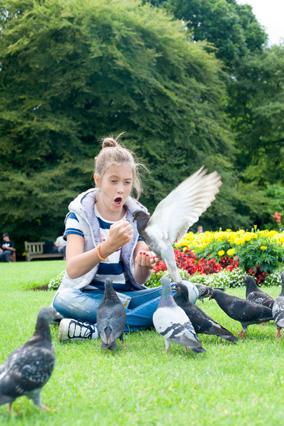 Young adorable girl feeding pigeons in Scottish summer green par - Photo, Image