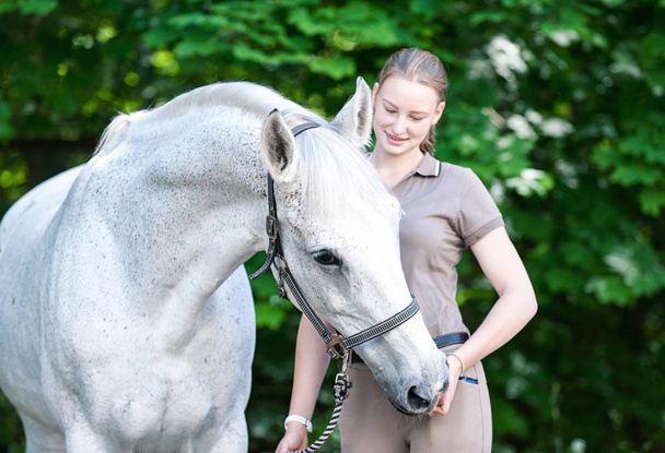Beautiful white horse treats from young teenage girl's hand - Photo, Image