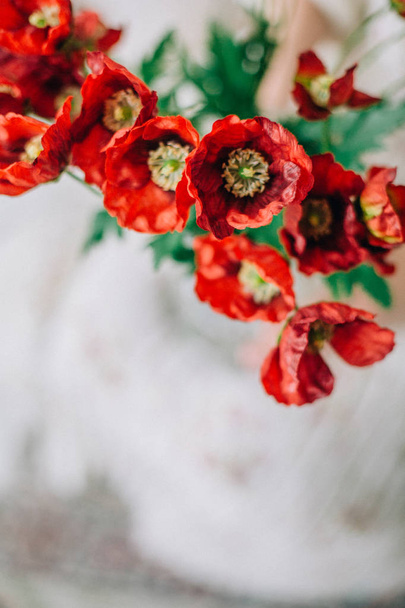 Γκρο πλαν, φρέσκα λουλούδια κόκκινο παπαρουνών. Εορταστική σύνθεση λουλουδιών. - Φωτογραφία, εικόνα
