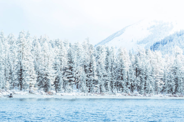Winter-Bergsee mit schneebedeckten Kiefern am Ufer. Frostwetter, Nebel über dem Wintersee, ein starker Temperaturrückgang. eine Reihe von schneebedeckten Bäumen auf dem Fluss. - Foto, Bild