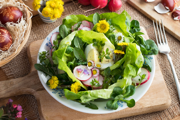 Bahar salatası yumurta ve vahşi yenilebilir bitkiler - Fotoğraf, Görsel