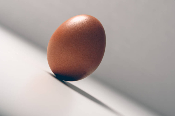 Minimalismu. jedno hnědé vejce ve svahu na 45 stupňů na bílém pozadí. koncepce péče, vytrvalost, překonání - Fotografie, Obrázek