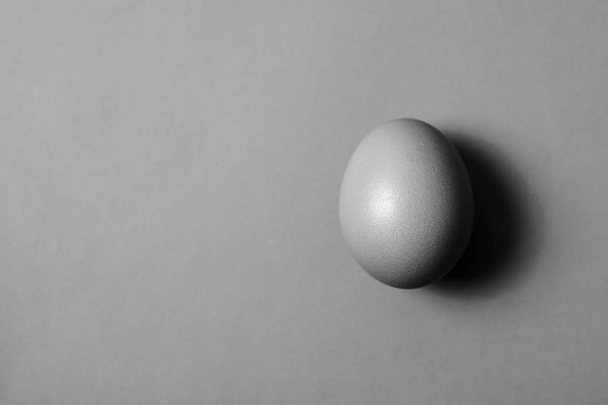 Minimalism. Black and white image with one egg with copy space - Photo, Image