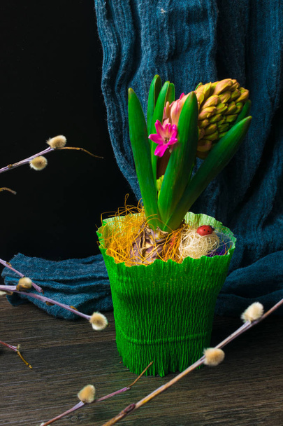 bella decorazione pasquale di giacinto rosa in vaso verde, uccellini di salice e piccola decorazione coccinella rossa su vaso floreale
 - Foto, immagini