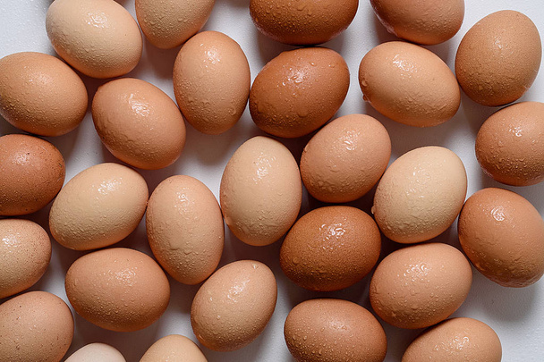 Groupe d'œufs bruns rustiques dans des gouttes d'eau sur fond blanc
 - Photo, image