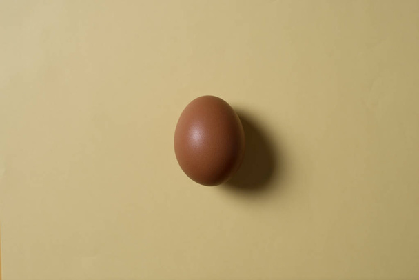 Minimalism. one brown egg in a center image on pastel orange background - Photo, Image