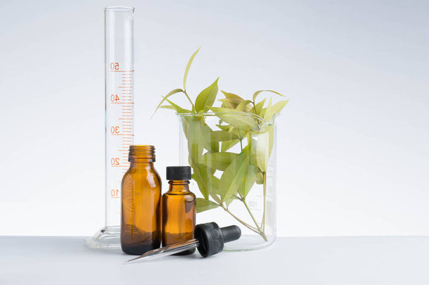 herbal medicine natural organic and scientific glassware - Fotó, kép