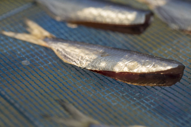 zeevis drogen na visserij in de tropen - Foto, afbeelding