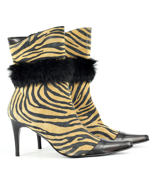 Women boot with tiger stripes on white - 写真・画像