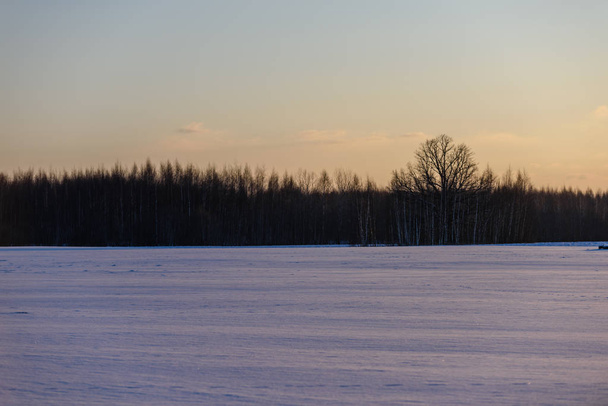 vidéki téli táj, a tiszta téli napon - Fotó, kép