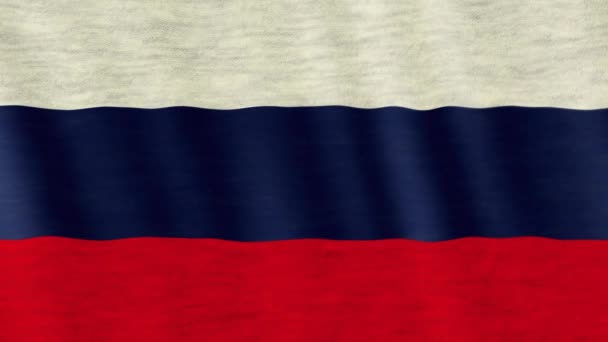 Close-up van de Russische vlag geblazen in de wind. - Video