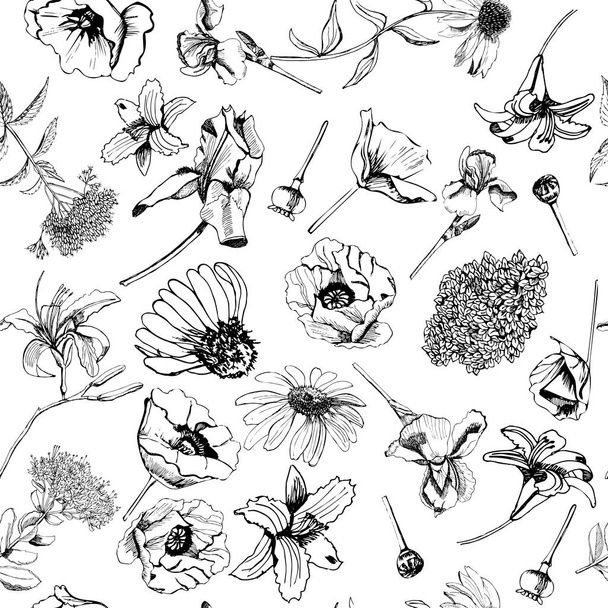 Seamless pattern  with hand drawn graphic  sketch with summer flowers for flower garden. - Vektori, kuva
