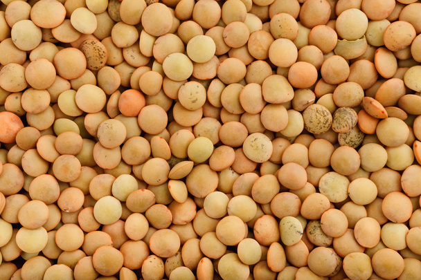 seeds of lentils close up - Valokuva, kuva