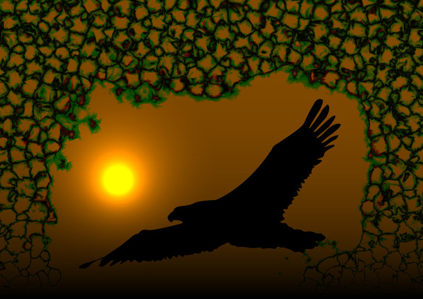 Парящая абстракция орла
 - Вектор,изображение