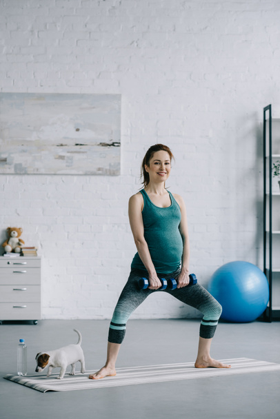 beautiful pregnant woman exercising with dumbbells in living room, dog walking around - Foto, Imagen