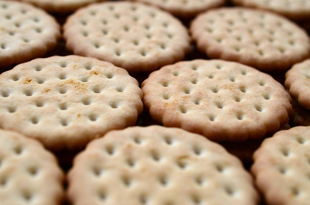 Detailed picture of round sandwich cookies with coconut filling. Background image of a close-up of several treats for tea - Фото, изображение