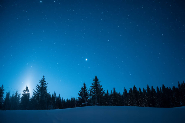 Choinki na tle zimowe gwiaździste niebo. Księżyc - Zdjęcie, obraz
