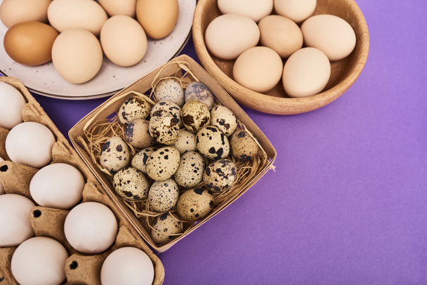 Composition with fresh quail and chicken eggs in wooden box, carton box and plate on purple background with copy space. - Photo, Image