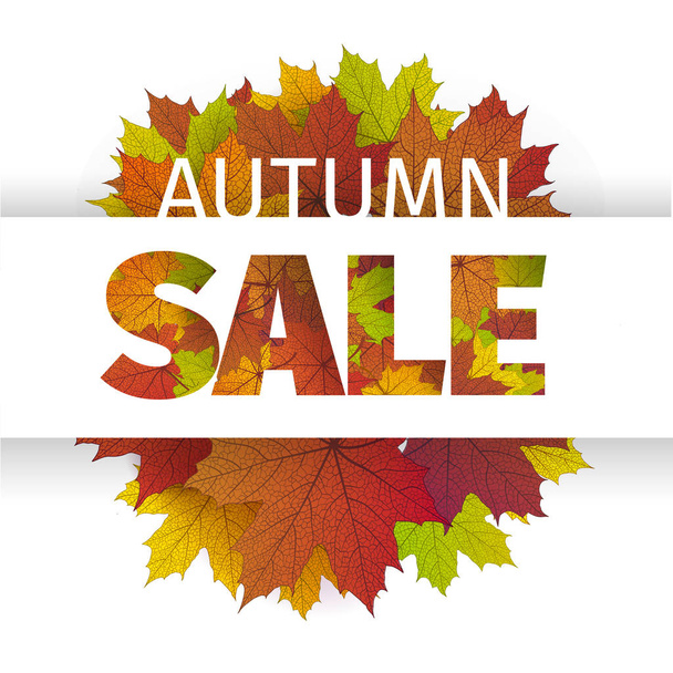 Fall sale design. Autumn discount. Vector fall leaves. Vector fall sale poster illustration with colorful autumn leaves. Can be used in business for flyers, banners or posters. - Vector, Image